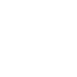Dream Team